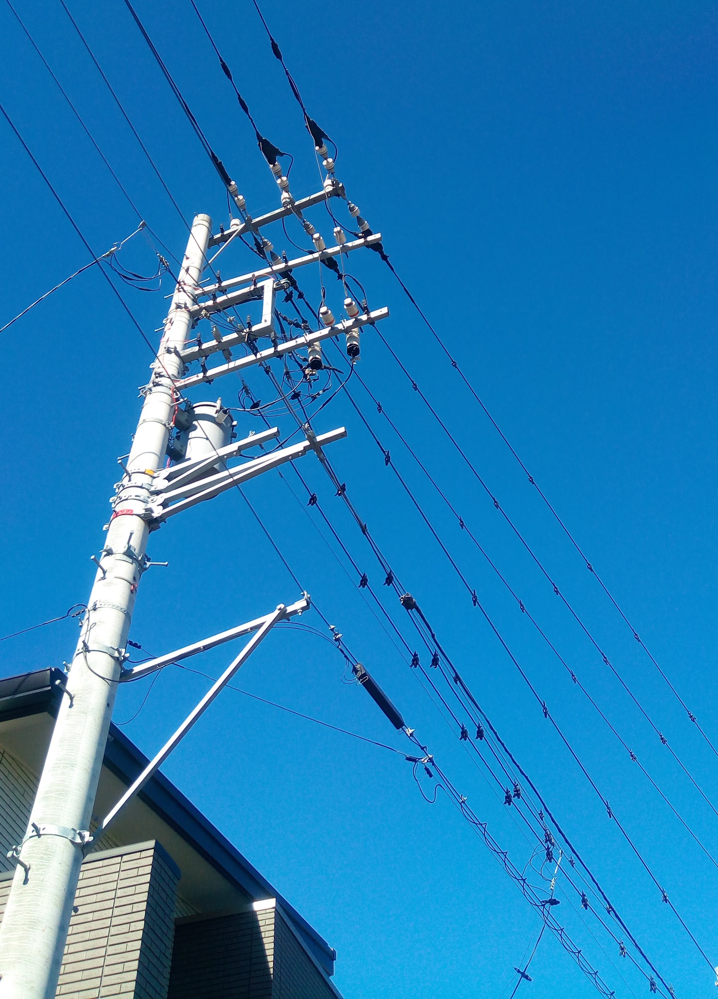 鳥フンの被害を防ぐ 電柱や電線に無料でできるたった１つの対策 一条工務店アイスマート グランセゾン 家造ブログ